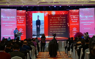 資產(chǎn)置換 撬動(dòng)民營經(jīng)濟(jì)發(fā)展的新支點(diǎn)與商務(wù)信息咨詢的價(jià)值